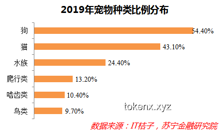 哈佛“国际禁招令”被叫停：政策风波背后的多维度对比分析